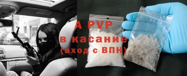 индика Баксан