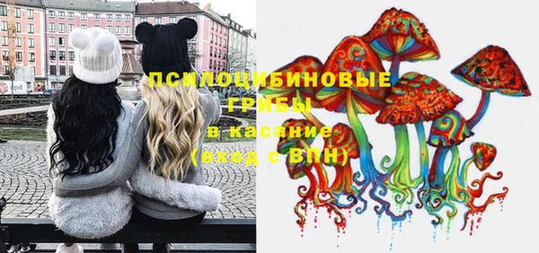 индика Баксан