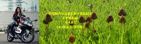 ПСИЛОЦИБИНОВЫЕ ГРИБЫ Балабаново