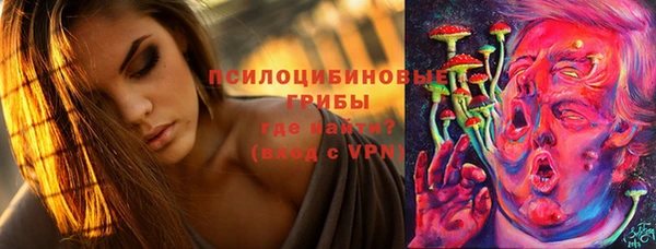индика Баксан