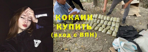 ПСИЛОЦИБИНОВЫЕ ГРИБЫ Балабаново
