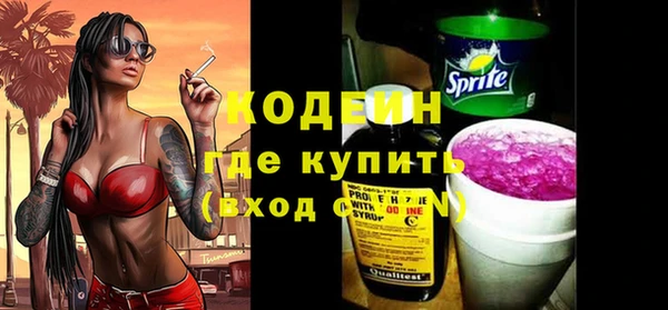индика Баксан