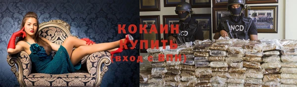 индика Баксан