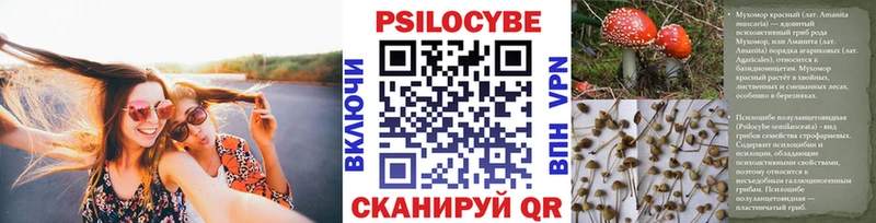 Псилоцибиновые грибы GOLDEN TEACHER Заозёрск